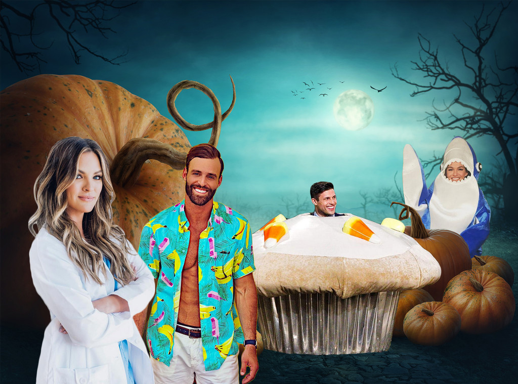Bachelor Nation Halloween Costumes Bachelor Nation Halloween Costumes